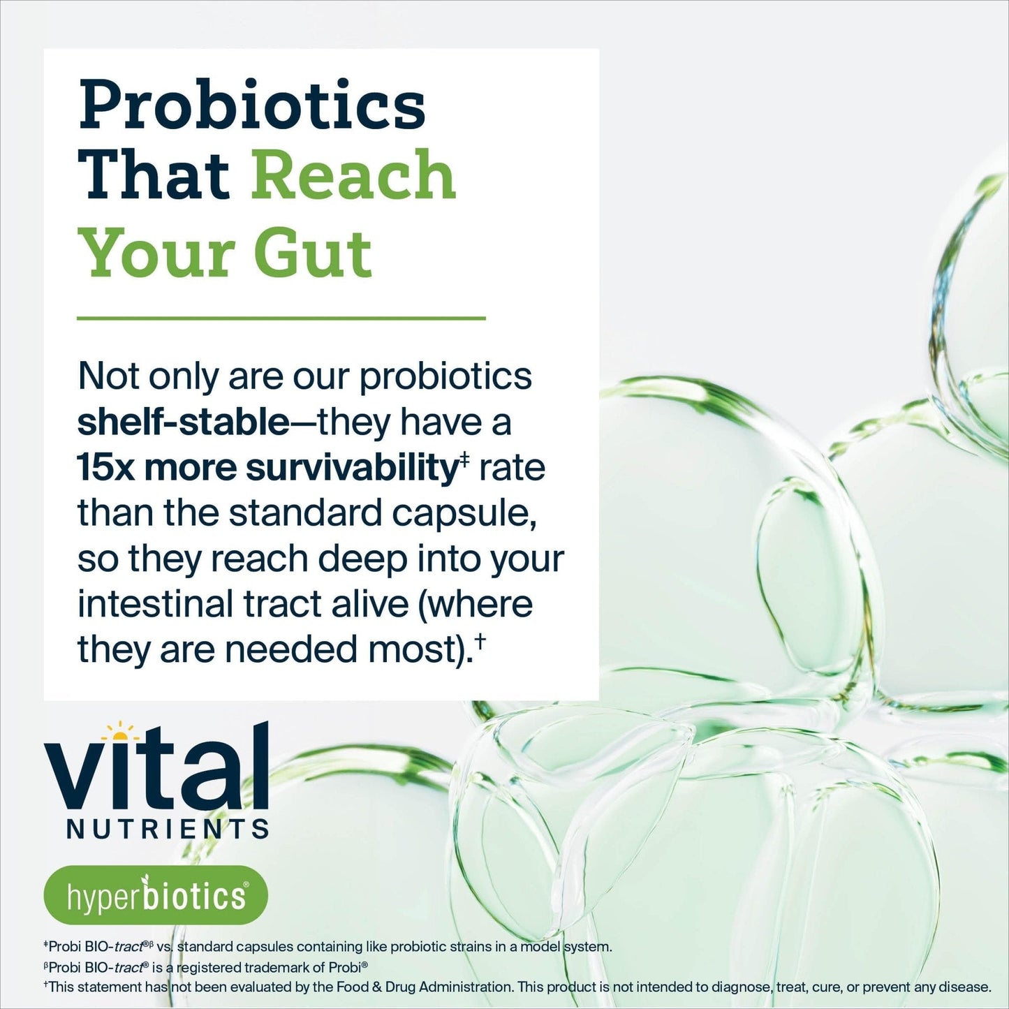 Hyperbiotics Vital Nutrients Organic Prebiotic Fiber Powder | Supports Gut Health and Digestive Regularity | Soluble Fiber Supplement for Women and Men - Maple Wellness Supplements