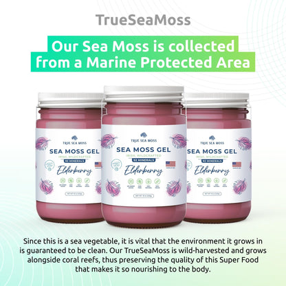Irish Sea Moss Gel - Maple Wellness Supplements
