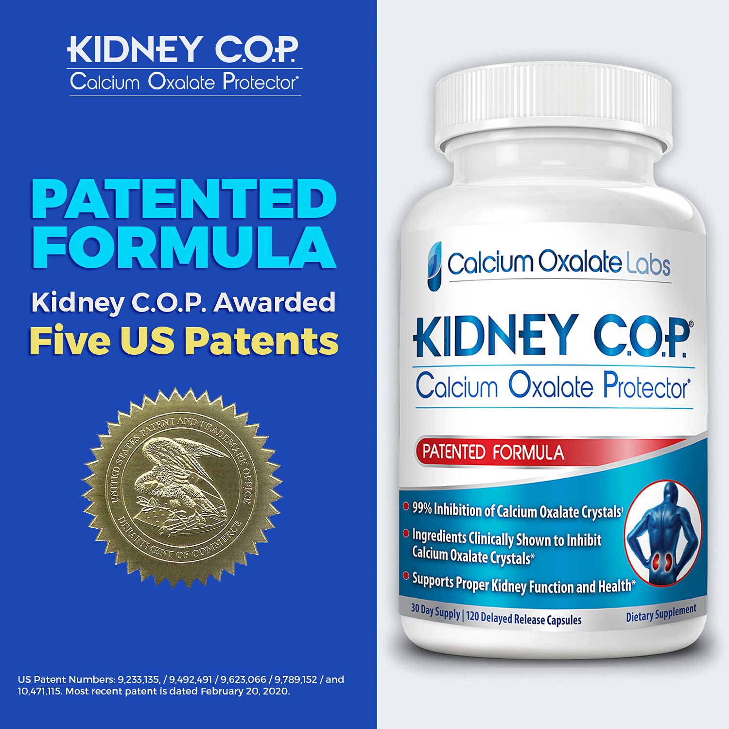 KIDNEY C.O.P. Calcium Oxalate Protector 120 Capsules, Patented Kidney Support for Calcium Oxalate Crystals, Stop Recurrence - Maple Wellness Supplements