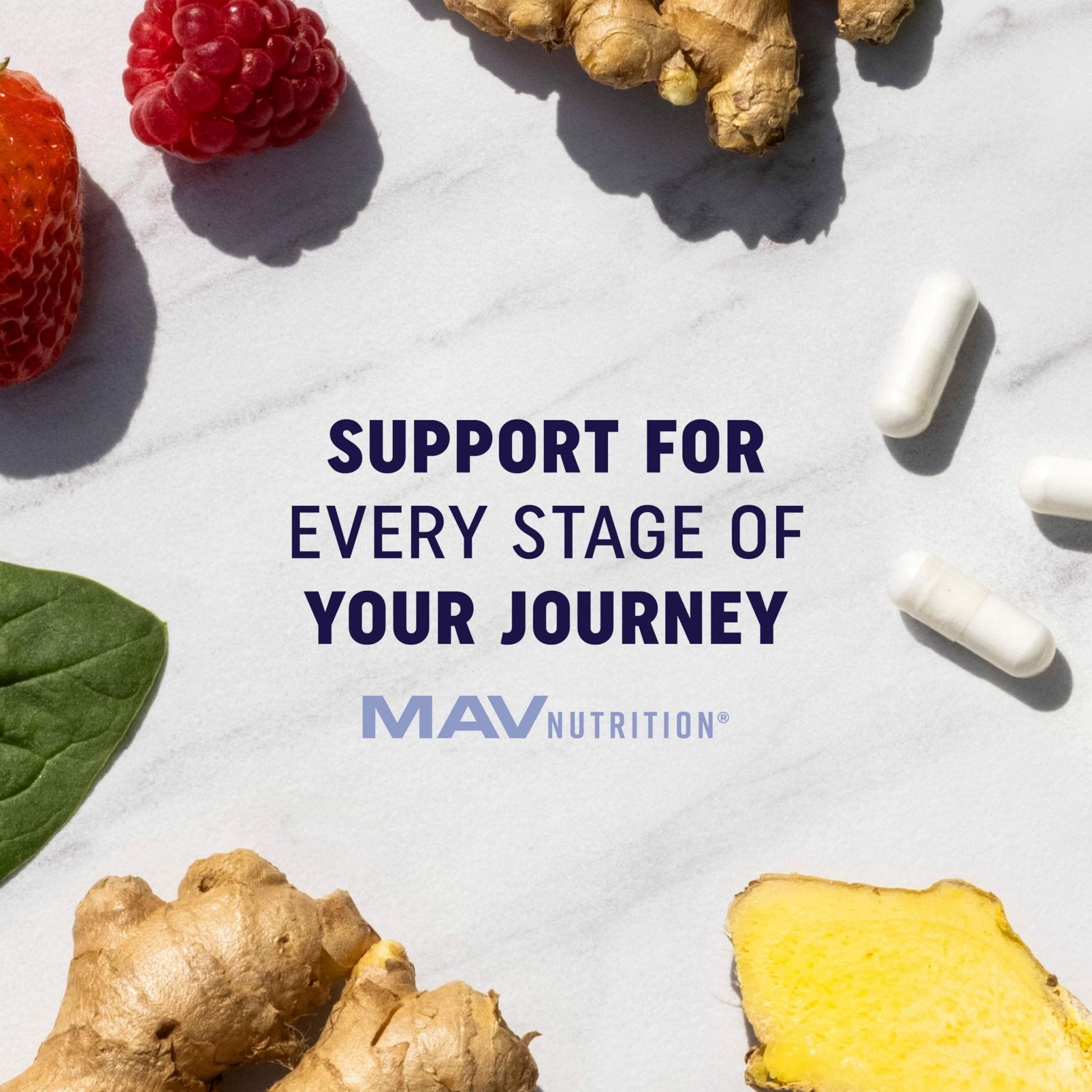 Kids Probiotic Gummies | 2 Billion Probiotics + 100mg Prebiotic Fiber for Immune & Digestion Support | Low Sugar Per Serving | For Children Ages 2+ | Gluten-Free, - Maple Wellness Supplements