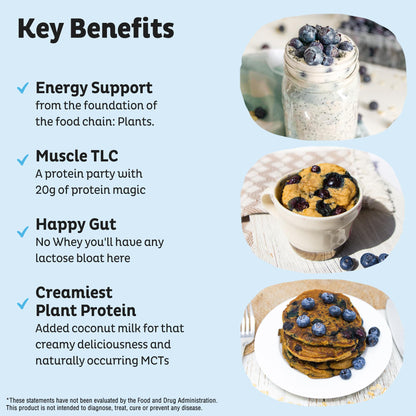 KOS Plant Based Protein Powder, Blueberry Muffin - Organic Pea Protein Superfood with Spirulina and Immune Support Blend. Soy, Gluten, Dairy Free - Vegan Meal Replacement for Women & Men - 15 Servings - Maple Wellness Supplements