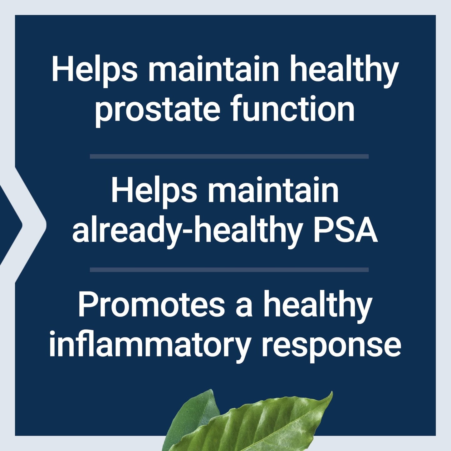 Life Extension Ultra Prostate Formula, Saw Palmetto for Men, pygeum, stinging Nettle Root, lycopene, Prostate Health, Urination Flow - Maple Wellness Supplements