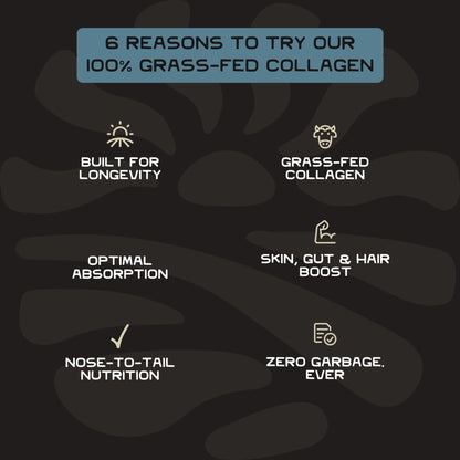 Lineage Provisions 100% Grass Fed Collagen Powder UNFLAVORED – Hydrolyzed Bovine Collagen Peptides with Trachea, Scapula, Eggshell Membrane – Collagen Protein Powder with Vitamin C – 30 Servings - Maple Wellness Supplements