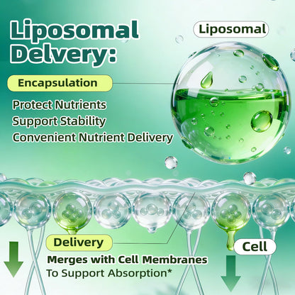 Liposomal Lymphatic Drainage Drops, 4 fl oz – 30-in-1 Lymphatic Drainage Supplements with 23 Herbs & 7 Vitamins – Supports Lymphatic System, Immune & Liver Health – Detox Support – 60-Day Supply - Maple Wellness Supplements