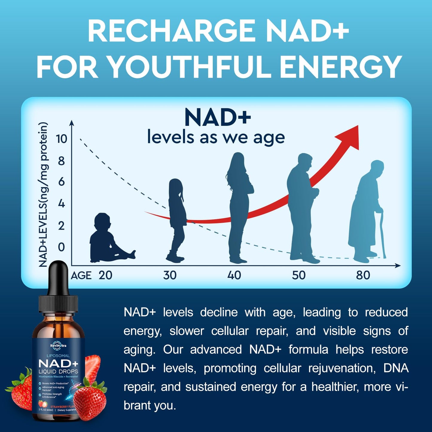 Liposomal NAD+ Liquid Supplement, Nad Resveratrol Supplement for Women & Men, Nicotinamide Riboside with PQQ, CoQ10, Quercetin for Anti-Aging, Brain, Cellular Energy Health, Strawberry Flavor, 2 Fl Oz - Maple Wellness Supplements