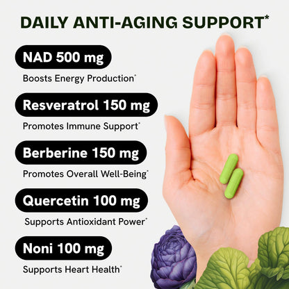 Liposomal NAD Supplement for Women w/Noni | 5-in-1 NAD Resveratrol Supplement w/Berberine & Quercetin | Pure NMN Powder Alternative | Supports Anti Aging & NAD+ Levels | 60 caps - 1 Pack - Maple Wellness Supplements
