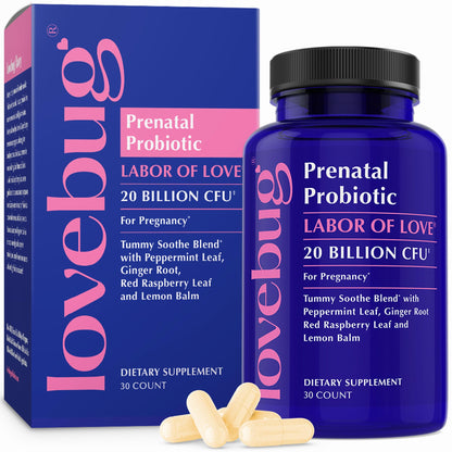 LOVEBUG Prenatal Probiotic | Helps with Morning Sickness, Nausea, Heartburn & Digestion | Helps Baby Microbiome | Multi Strain 20 Billion CFU | 30 Capsules - Maple Wellness Supplements
