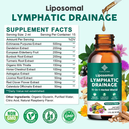Lymphatic Drainage Drops - 11 in 1 Lymphatic Supplement for Immune, Lymph System & Liver Detox - with Echinacea, Horse Chestnut, Dandelion, Elderberry & Burdock - Raspberry Flavor, Vegan, 2 Fl Oz - Maple Wellness Supplements