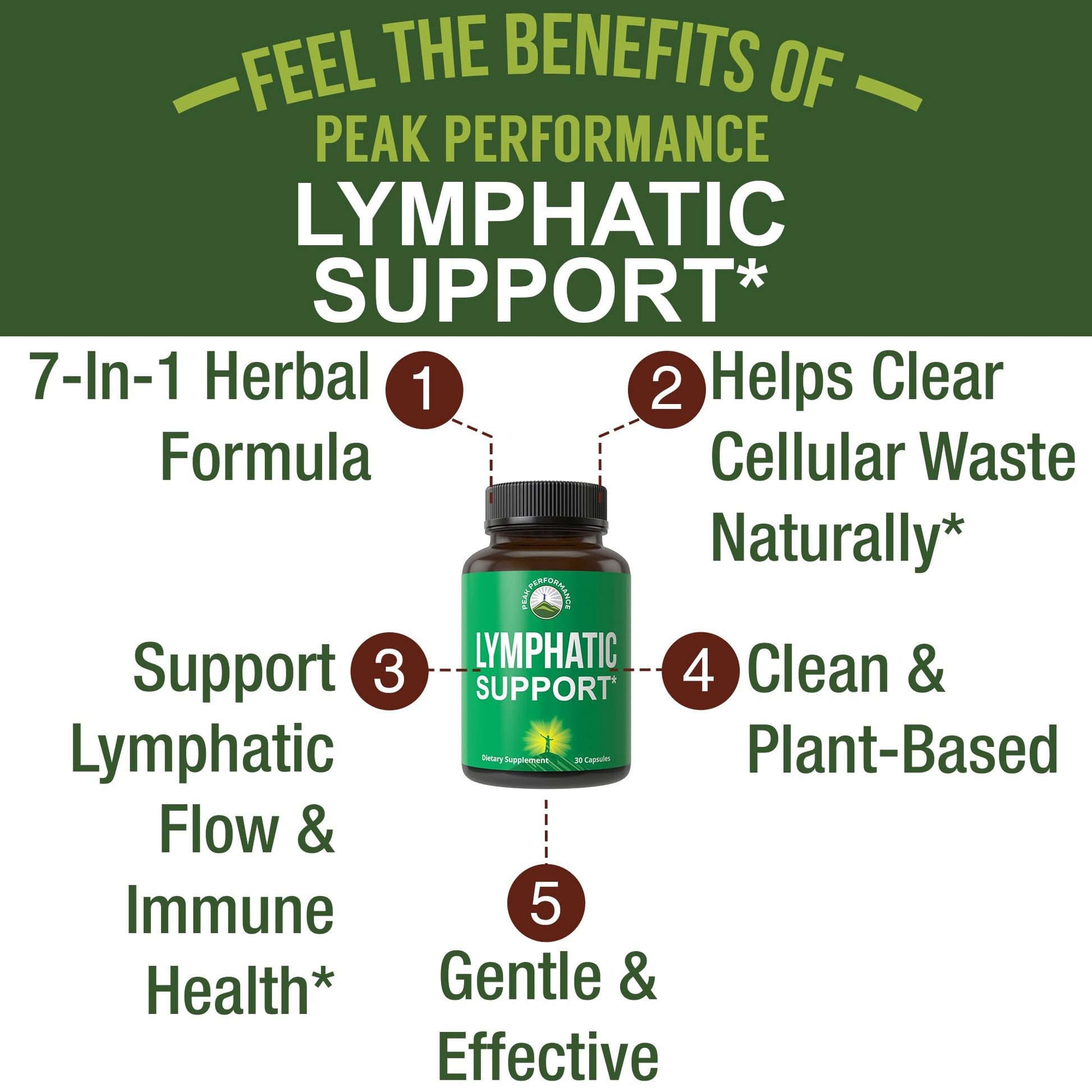 Lymphatic Drainage Supplement. 7-in-1 Lymph System Support Capsules to Detox & Cleanse. with Vegan Ingredients Echinacea Root, Red Clover Blossom, Burdock Root, Red Root, Licorice Root for Women, Men - Maple Wellness Supplements