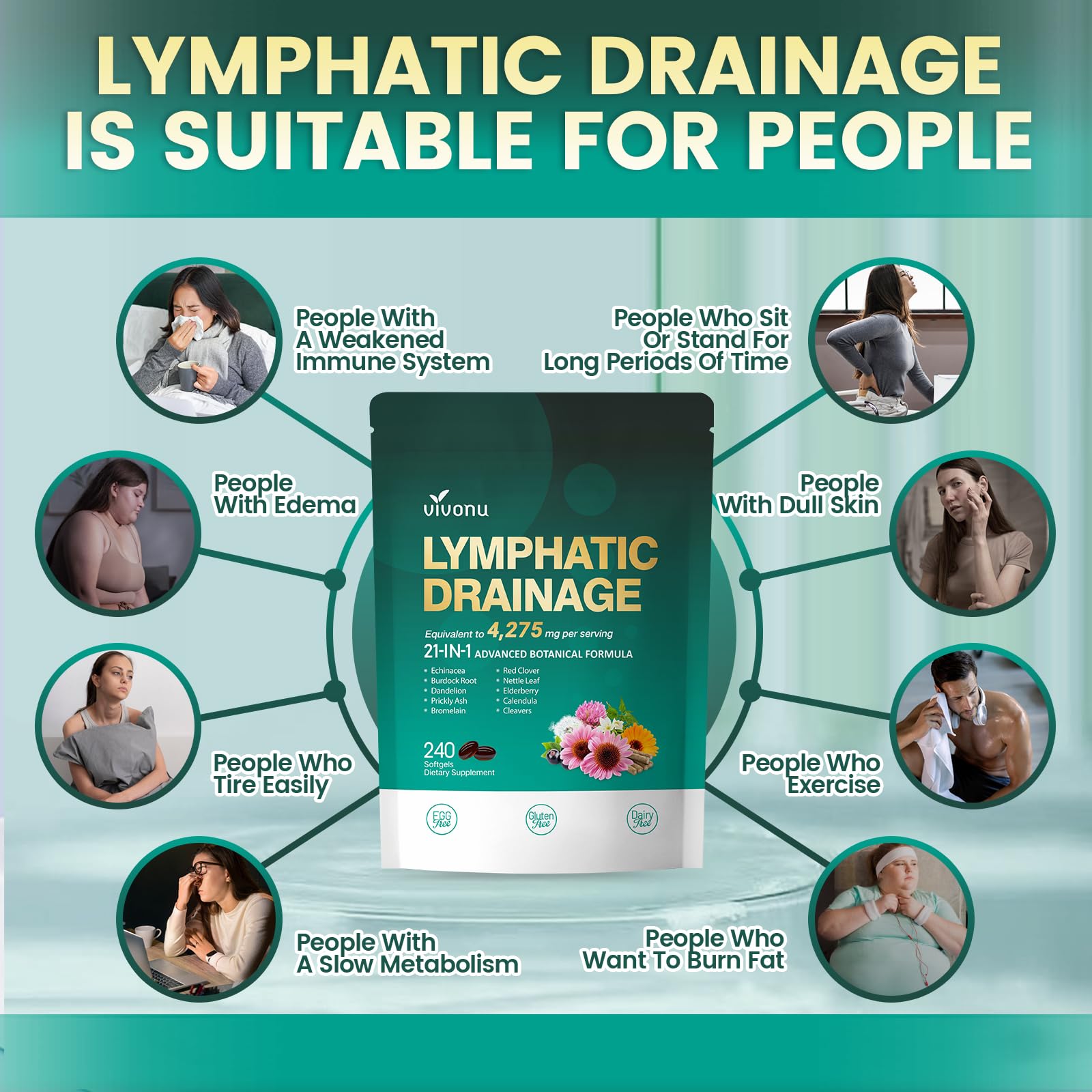 Lymphatic Drainage Supplements, 240 Softgels, Lymph System Support Supplement for Women & Men, 21-in-1 Herbal Blend with Echinacea, Dandelion, Burdock - Maple Wellness Supplements