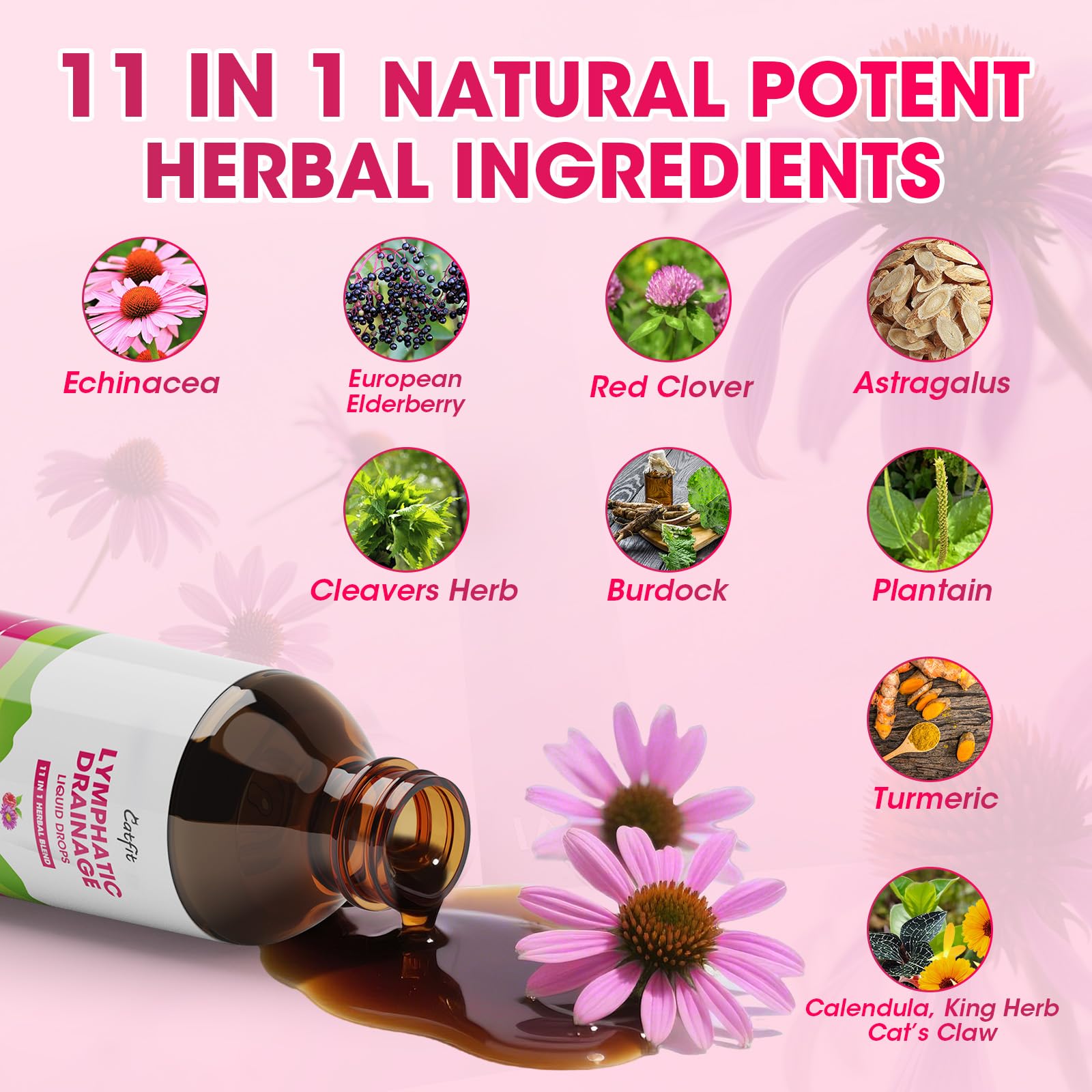 Lymphatic Drainage Supplements Drops for Immune, Lymph System Support, Cleanse & Detox, Liver Health with Echinacea,Elderberry,Cleavers Herb,Burdock, Calendula, Non-GMO, Raspberry Flavor, 2 Fl Oz - Maple Wellness Supplements