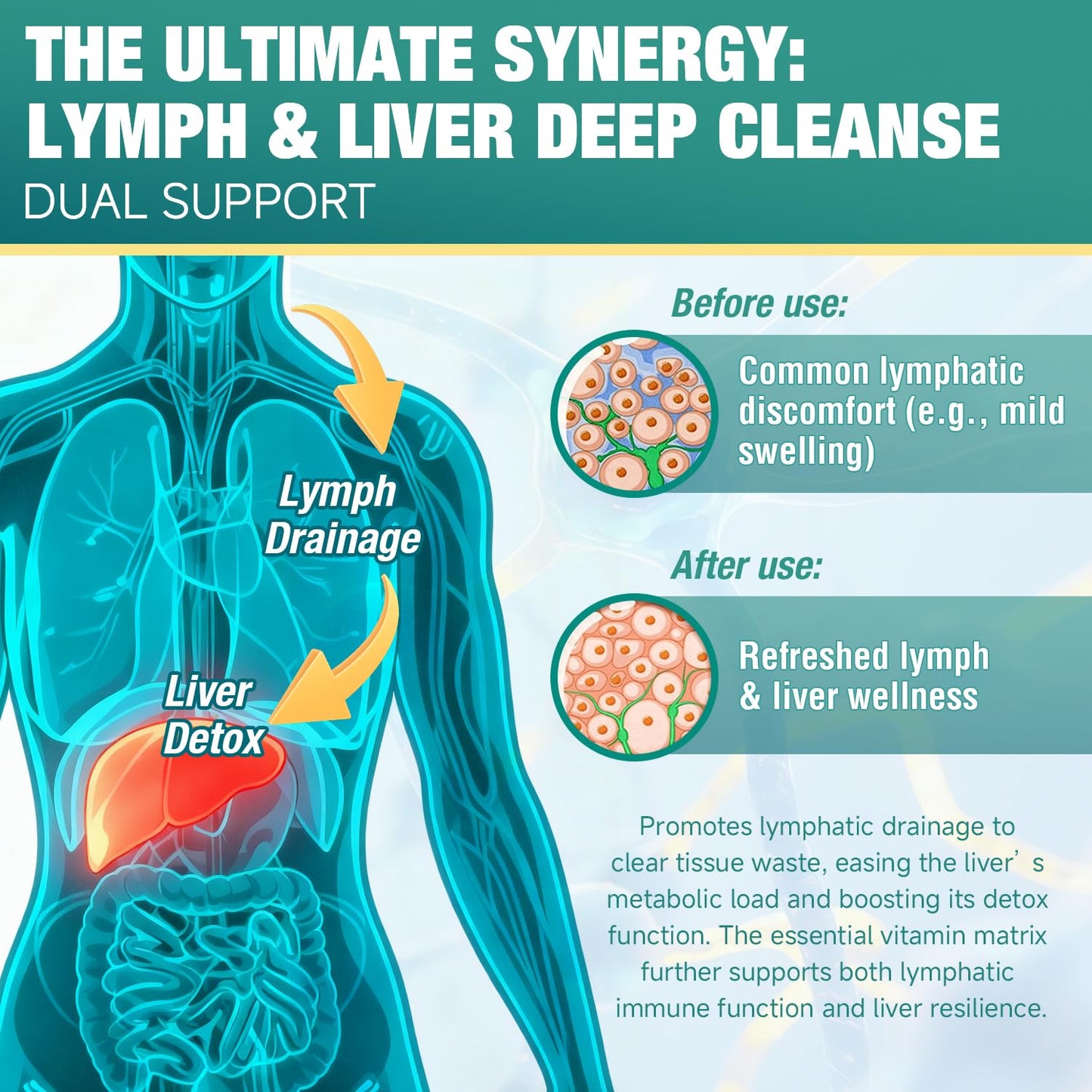Maxhemphealth Liposomal Lymphatic Drainage Drops - 60ML Lymph & Liver Cleanse Supplement, Natural Herbal Blend & Multivitamin for Immunity, Lymphatic Support & Liver Detox, Vegan, Non-GMO, Gluten-Free - Maple Wellness Supplements