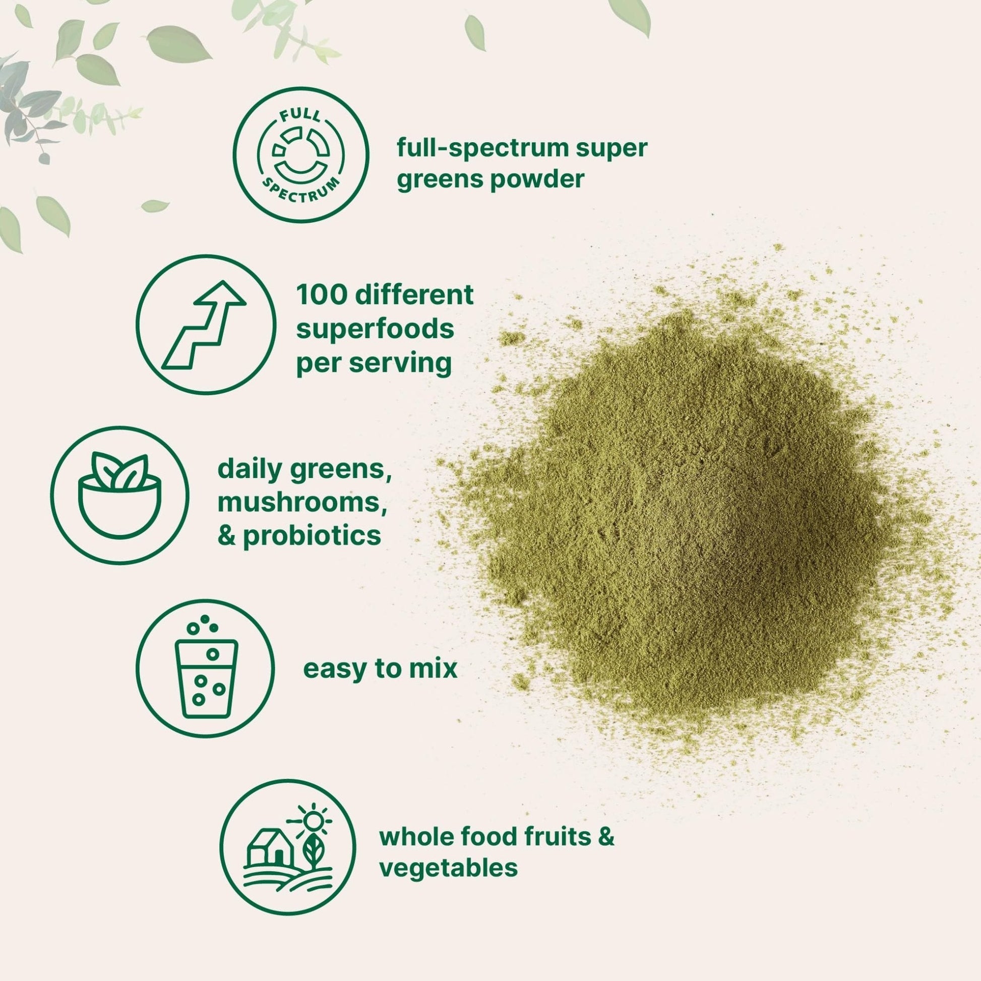 Micro Ingredients Super Greens Powder, 1lb | 100 Superfood Blend with Daily Greens, Probiotics, Fruits, Vegetables & Mushrooms | Source of Vegan Protein & Enzymes - Maple Wellness Supplements