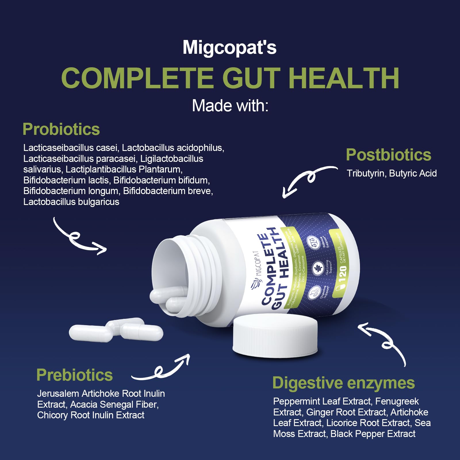 Migcopat Probiotics for Digestive Health, 80 Billion CFU Probiotics, Prebiotics, Postbiotics & Digestive Enzymes, Gut Health Capsules with Berberine, Cinnamon, - Maple Wellness Supplements
