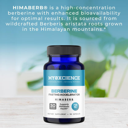 MYOXCIENCE Berberine Fasting Accelerator | Himaberb Berberine HCL with ALA (Alpha Lipoic Acid) and Biotin (90 Capsules) - Maple Wellness Supplements
