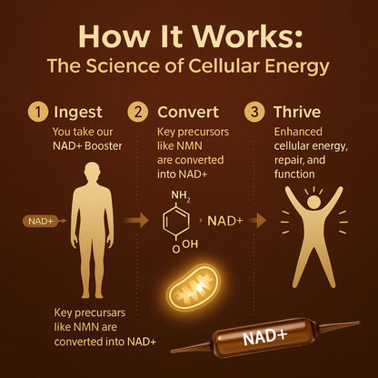 NAD Advanced Cellular Renewal - 1200mg NAD Supplement for Skin Aging Support Energy & Focus - 10 Vials (1) - Maple Wellness Supplements