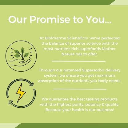 NanoMeal Plant-Based All-in-One Nutrition | Superfood Meal Replacement Powder | Tropical Fruit Blend | 10 Servings | Protein, Greens & Omega for Gut & Immune Support - Maple Wellness Supplements