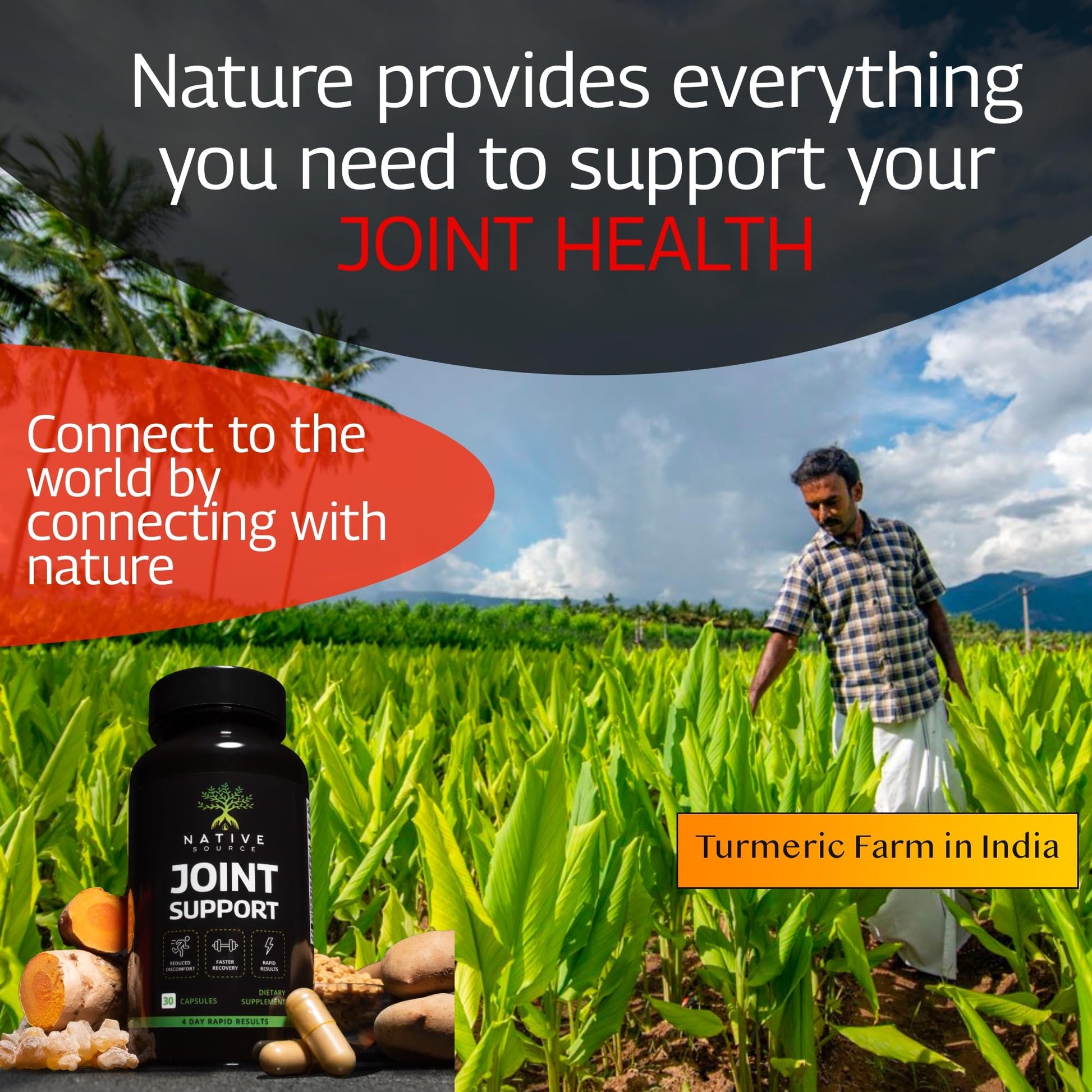 Native Source Joint Support Supplement - Turmeric - Tamarind - Boswellia - Fenugreek - Maple Wellness Supplements