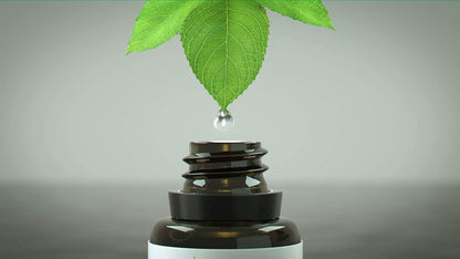 Nerve Pain Away – Homeopathic Topical Spray for Temporary Nerve Pain Relief in Hands and Feet - Maple Wellness Supplements