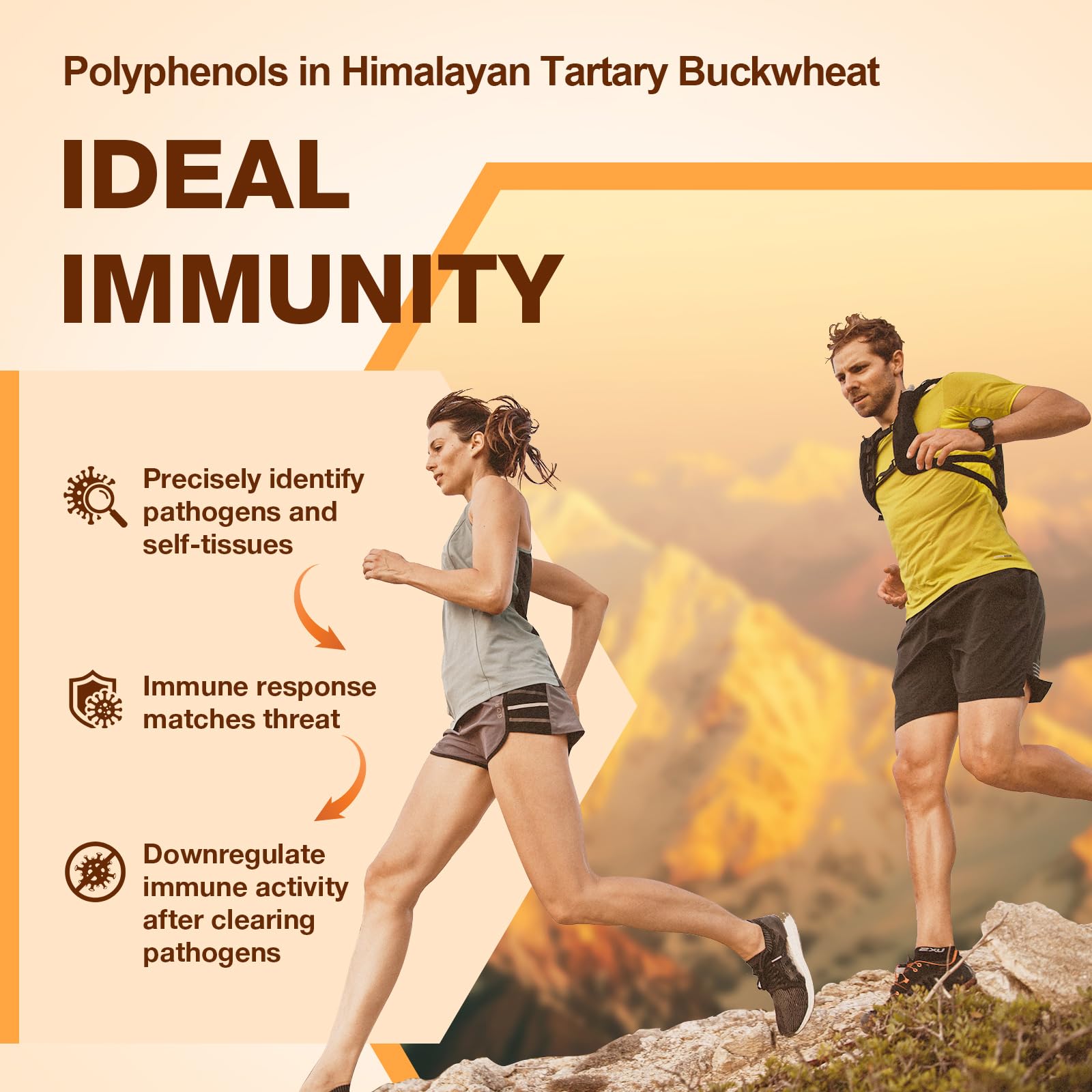 Nokuba Polyphenols Supplement for Immune Support | Himalayan Tartary Buckwheat Sourced | Polyphenol Superfood with Quercetin, Curcumin | Immune Booster, Antioxidant, Anti-inflammatory - 120 Capsules - Maple Wellness Supplements