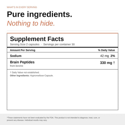 Nootropic Brain Supplement – Grass-Fed Bovine Brain Peptides for Focus, Memory & Mental Clarity – Ancestral Cognitive Support – Argentine Pasture-Raised, Non-GMO – 60 Capsules - Maple Wellness Supplements
