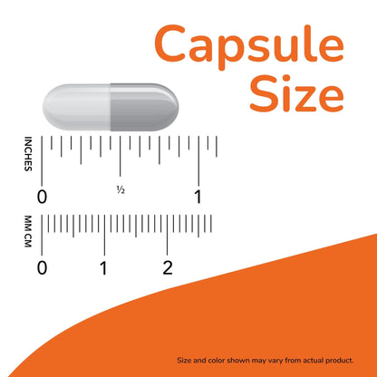 NOW Foods Supplements, L-Carnitine 500mg, Purest Form, Amino Acid, Fitness Support*, 60 Veg Capsules - Maple Wellness Supplements