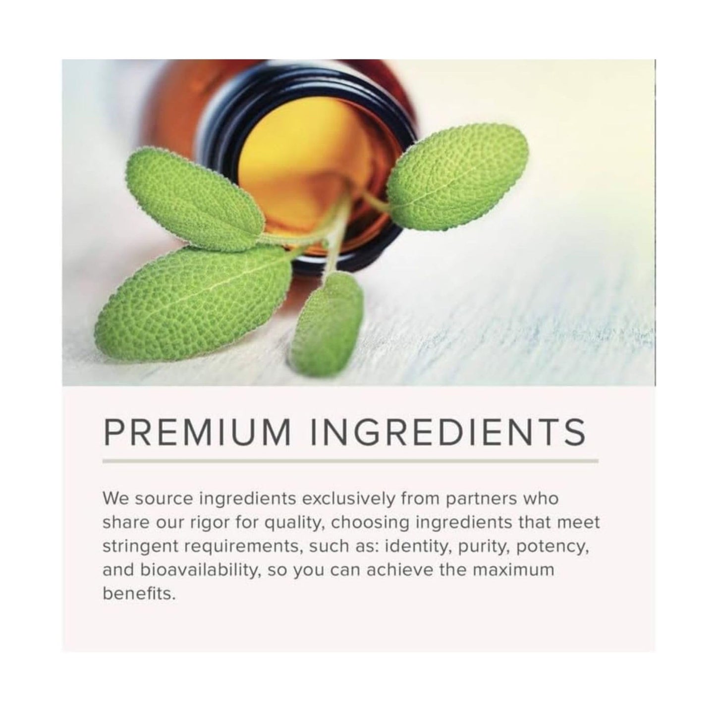 NusaPure Polypodium Leucotomos 10:1 Extract, 240 mg Equivalent to 2400mg 200 Veggie Capsules (Vegetarian, Non-GMO, Vegan) - Maple Wellness Supplements