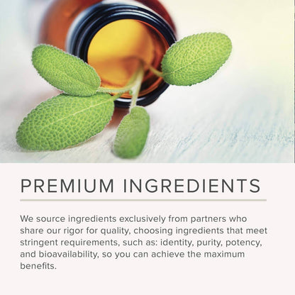 NusaPure Quercetin - Suitable for Vegetarian/Vegan, Non - GMO - 1000 mg - 200 Capsules - Maple Wellness Supplements