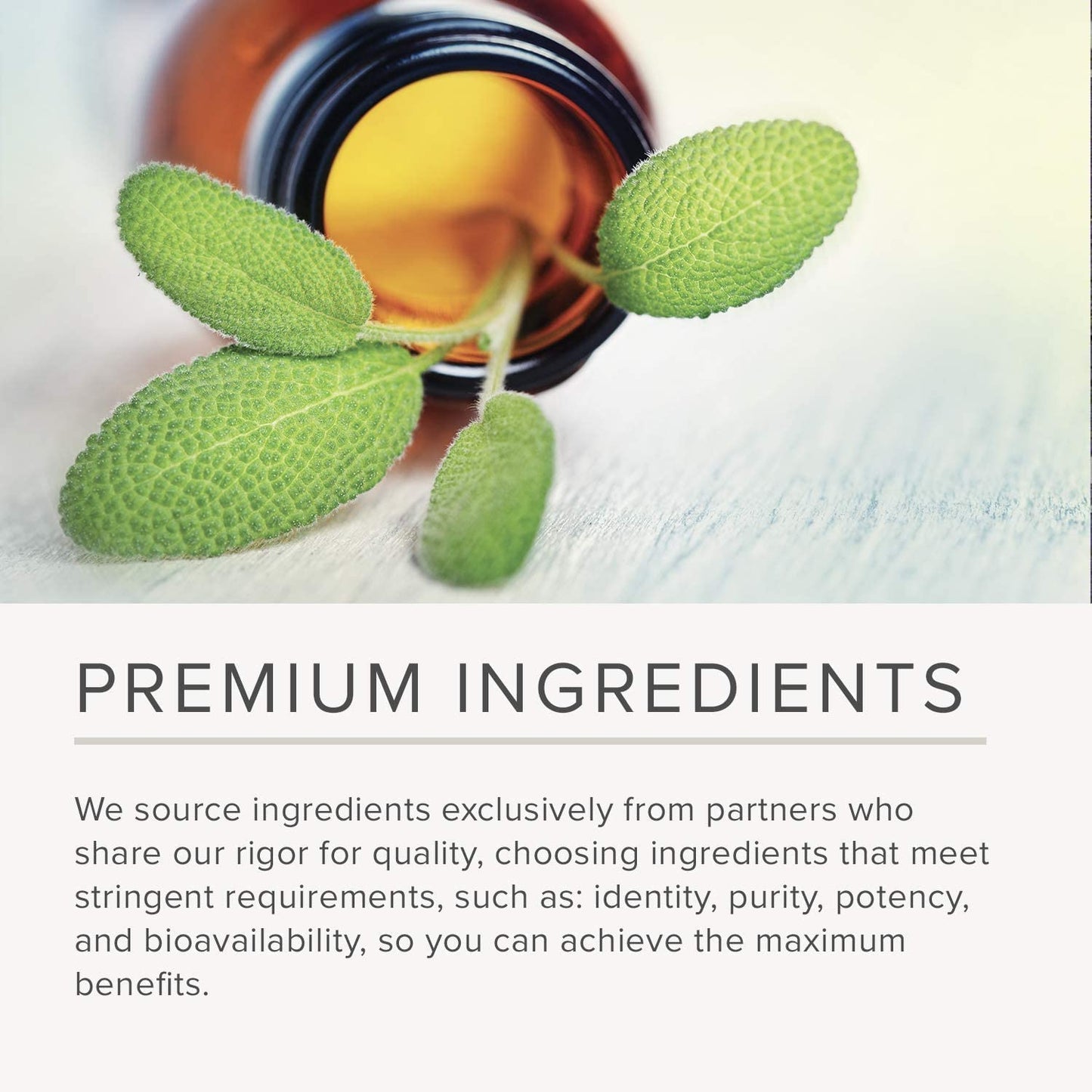 NusaPure Turkey Tail Mushroom Capsules, 10:1 Extract, 1200 mg Equivalent to 12,000mg, 200 Vcaps, Non-GMO, Gluten Free, Bioperine - Maple Wellness Supplements
