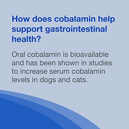 Nutramax Cobalequin B12 Supplement for Cats and Small Dogs, 45 Count (Pack of 1) - Maple Wellness Supplements