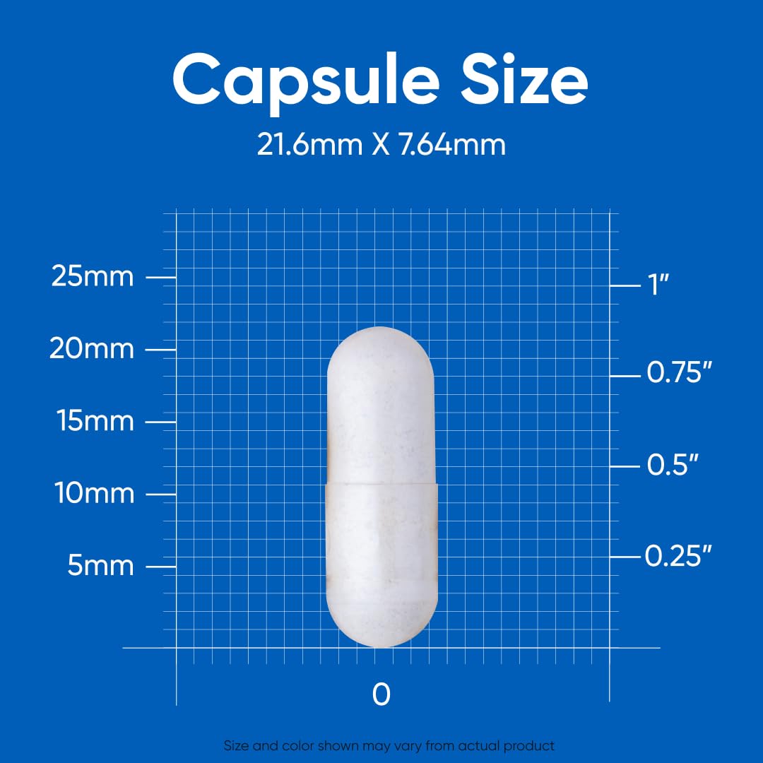 Nutricost NAD+ Supplement 1,000mg per Serving,120 Capsules (Nicotinamide Adenine Dinucleotide) - 60 Servings, Gluten-Free, Vegan - Maple Wellness Supplements
