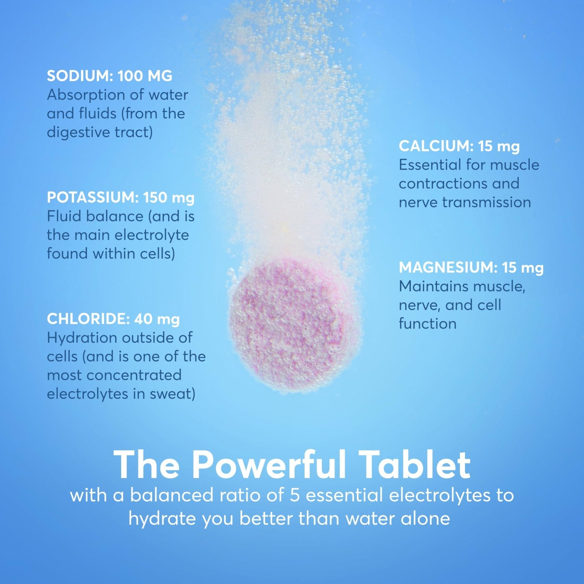Nuun Immunity Electrolyte Tablets with Vitamin D, C, E, & A, Ginger, Elderberry, Magnesium & 4 Other Essential Electrolytes, Vegan, Blueberry Tangerine & Orange Citrus, 4 Pack (40 Servings Total) - Maple Wellness Supplements