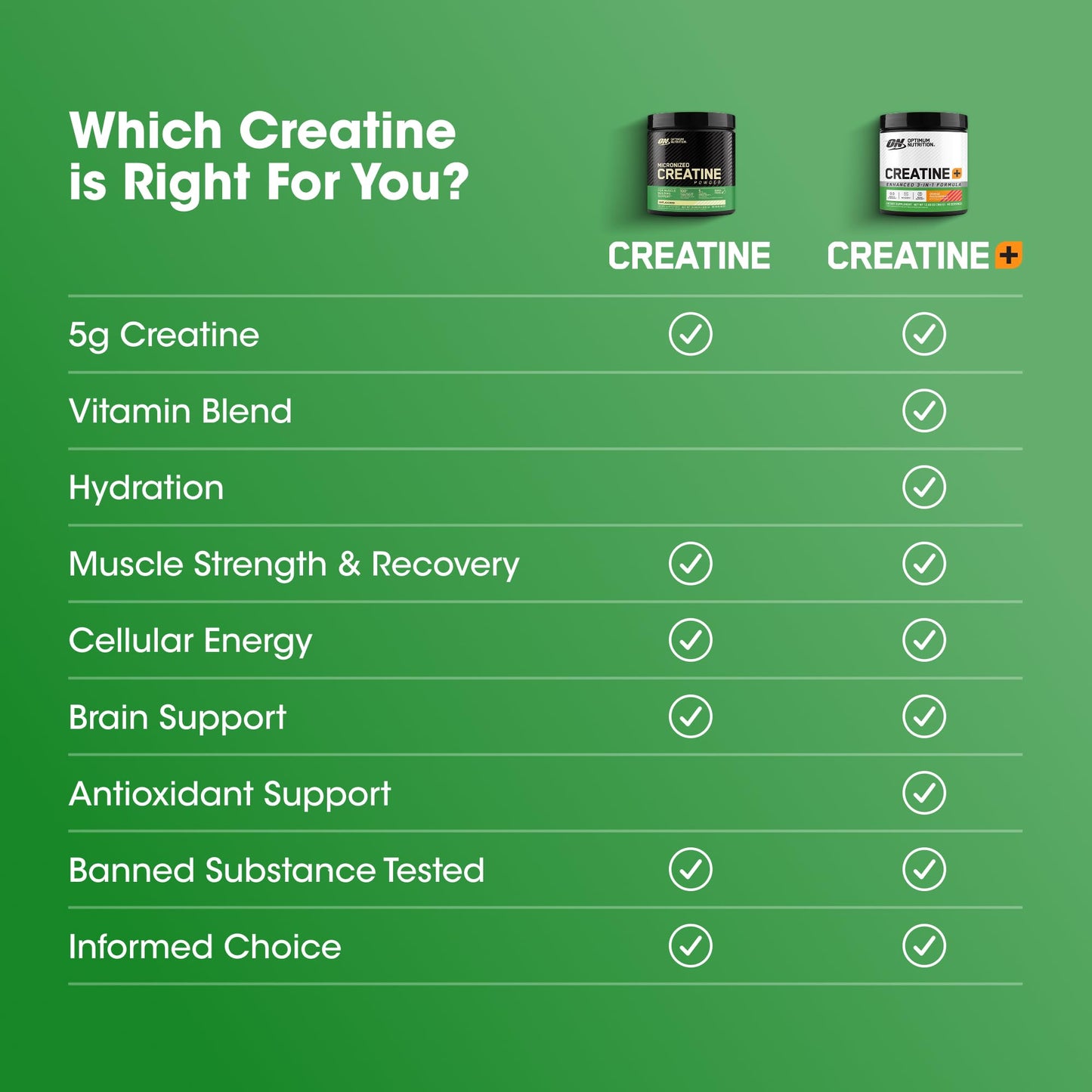 Optimum Nutrition Micronized Creatine Monohydrate Powder, Unflavored, 60 Servings, 300 Grams (Packaging May Vary) - Maple Wellness Supplements