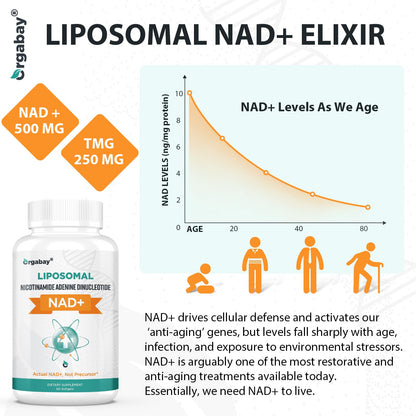 Orgabay Liposomal NAD+ Supplement 500 mg, High Absorption, Boost NAD+ with TMG 250 mg, Actual NAD Plus More Efficient Than Nicotinamide Riboside, Support Cellular Energy, Healthy Aging | 240 Softgels - Maple Wellness Supplements