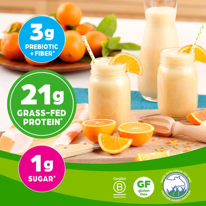 Orgain Whey Protein Powder, Vanilla Bean - 21g Grass Fed Dairy Protein, Gluten Free - Maple Wellness Supplements