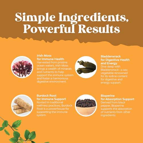 Organic Irish SeaMoss Capsules - Sea Moss and Bladderwrack Capsules with Burdock - Maple Wellness Supplements