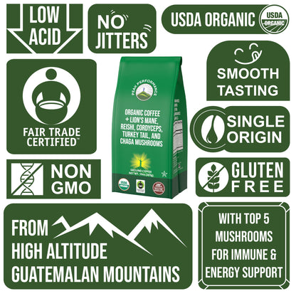 Organic Low Acid Mushroom Coffee with Lion's Mane, Reishi, Cordyceps, Turkey Tail, and Chaga Mushrooms - Great Tasting Premium High Altitude Medium Roast Ground Bags 10 oz by Peak Performance - Maple Wellness Supplements