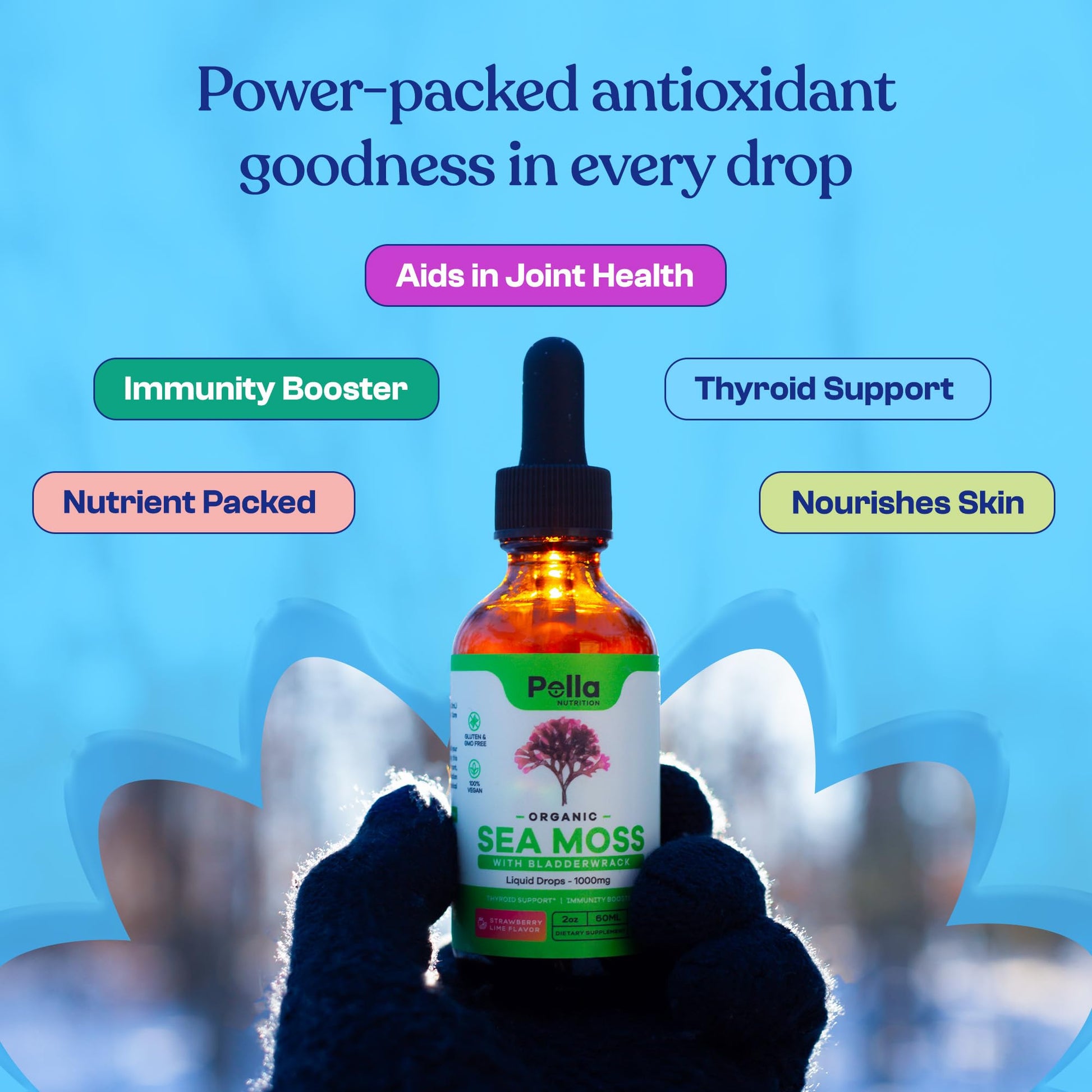 Organic Sea Moss Drops - 1000mg Irish Sea Moss - 4X Stronger than Sea Moss Gel - Maple Wellness Supplements