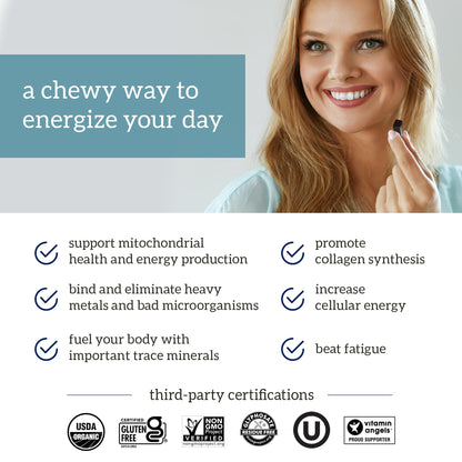 Organifi - Shilajit Gummies - Supports Natural Energy and Strength - Vanilla Cinnamon - Maple Wellness Supplements