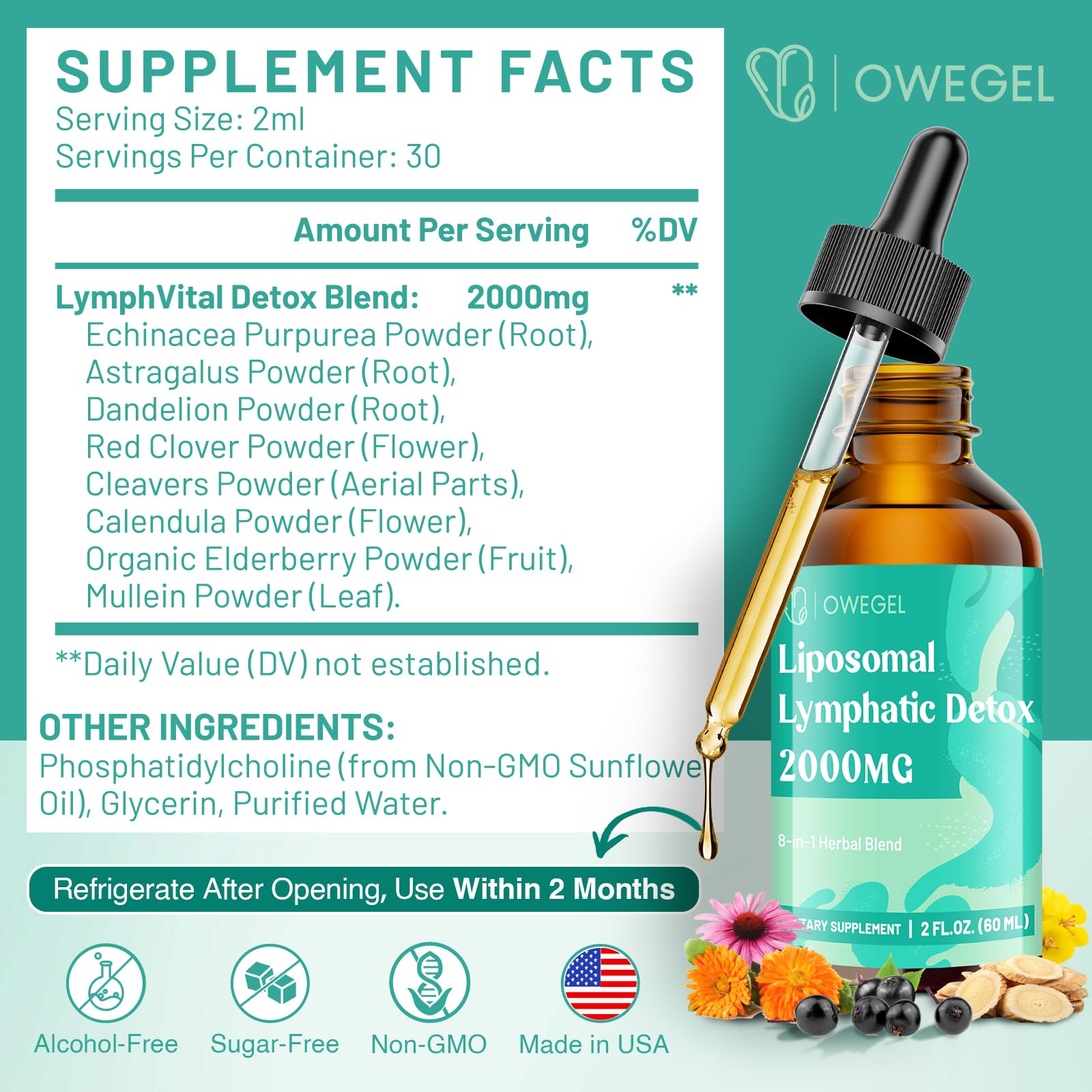 owegel Liposomal Lymphatic Drainage Drops 2000mg – Immune & Lymph System Support – Lymphatic Detox and Cleanse with Echinacea, Red Clover, Dandelion & Cleavers – Sugar-Free, Alcohol-Free – 2 FL OZ - Maple Wellness Supplements