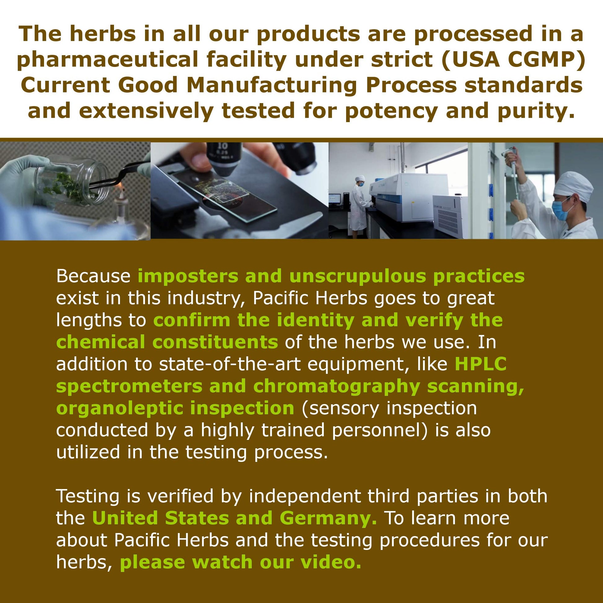Pacific Herbs Corydalis Natural Pain Relief Herbs - Maple Wellness Supplements