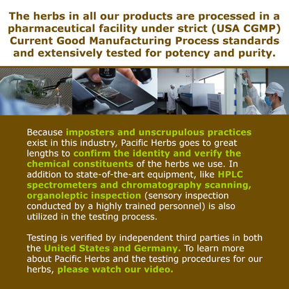 Pacific Herbs Corydalis Natural Pain Relief Herbs - Maple Wellness Supplements