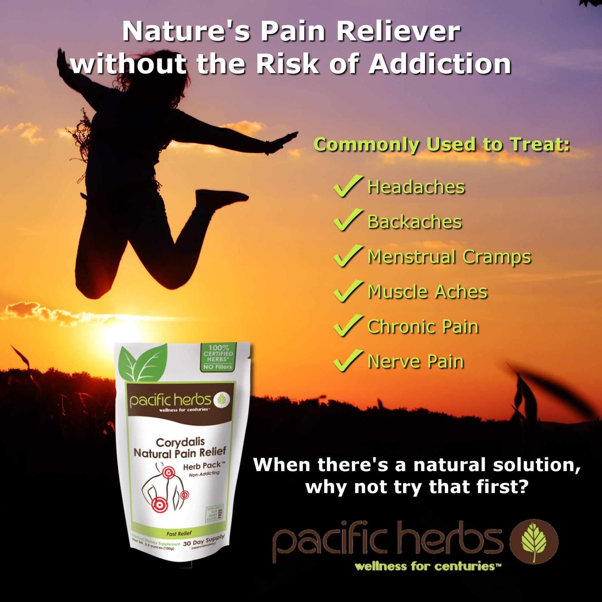 Pacific Herbs Corydalis Natural Pain Relief Herbs - Maple Wellness Supplements