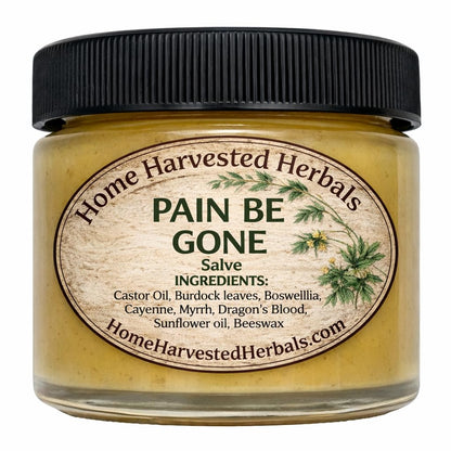 Pain Relief Herbal Salve – 2 oz – Home Harvested Herbals – Natural Relief for Aches, Muscles & Joint Discomfort - Maple Wellness Supplements
