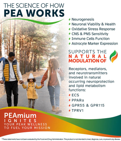 Palmitoylethanolamide 450mg Comfort Mobility Nerves Cognitive & Immune Support - Micronized High Absorption - All Natural Pea - USA Made - No Additives or Excipients – 60 Vegan Capsules Supplement - Maple Wellness Supplements