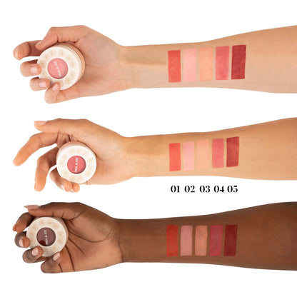 Paul & Joe Gel Blush, Bright and Buildable Blush Makeup, Water-Based Gel Makeup Blush with Hydrating Oils for Dewy, Radiant Finish, Garnet and Wine Red Cheek Tint, 05 Sommeliere, 0.71 oz - Maple Wellness Supplements