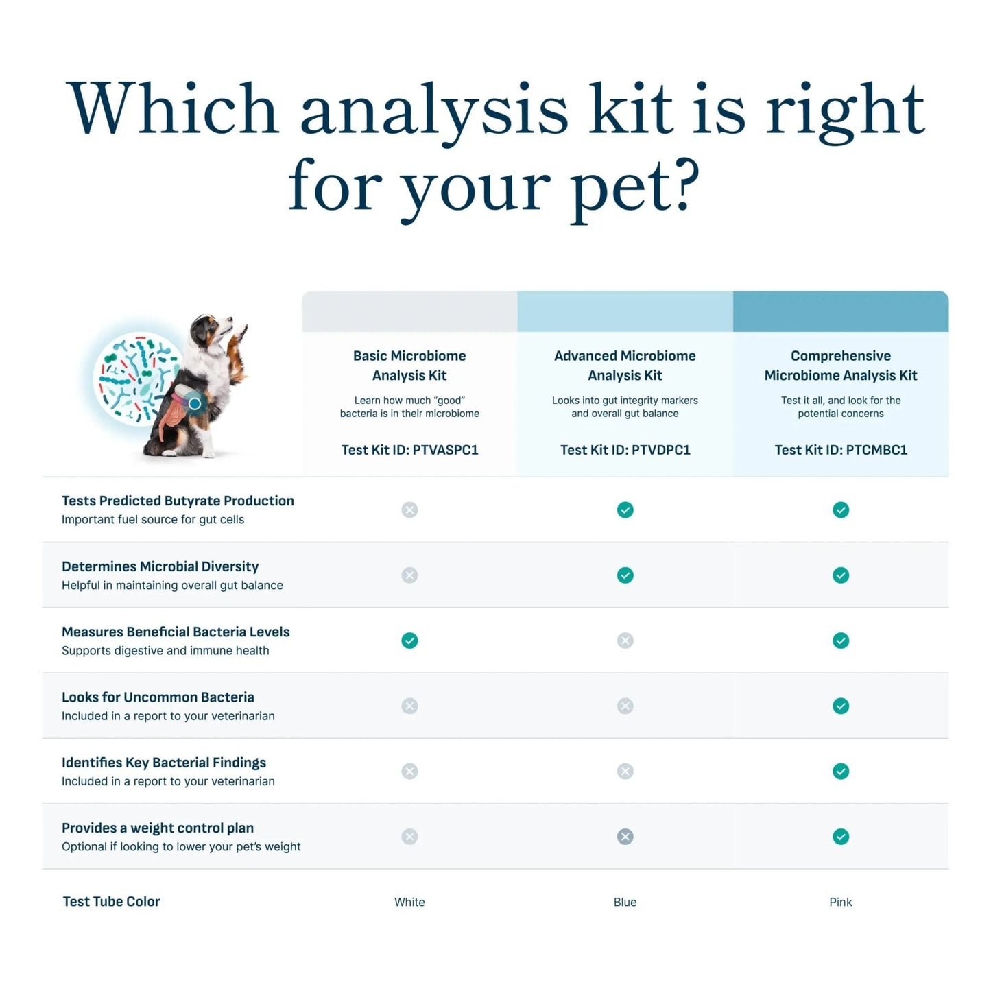 Petivity Microbiome Analysis Kit — Basic for Cats and Dogs, Powered by Purina - 4.8 oz. Box - Maple Wellness Supplements