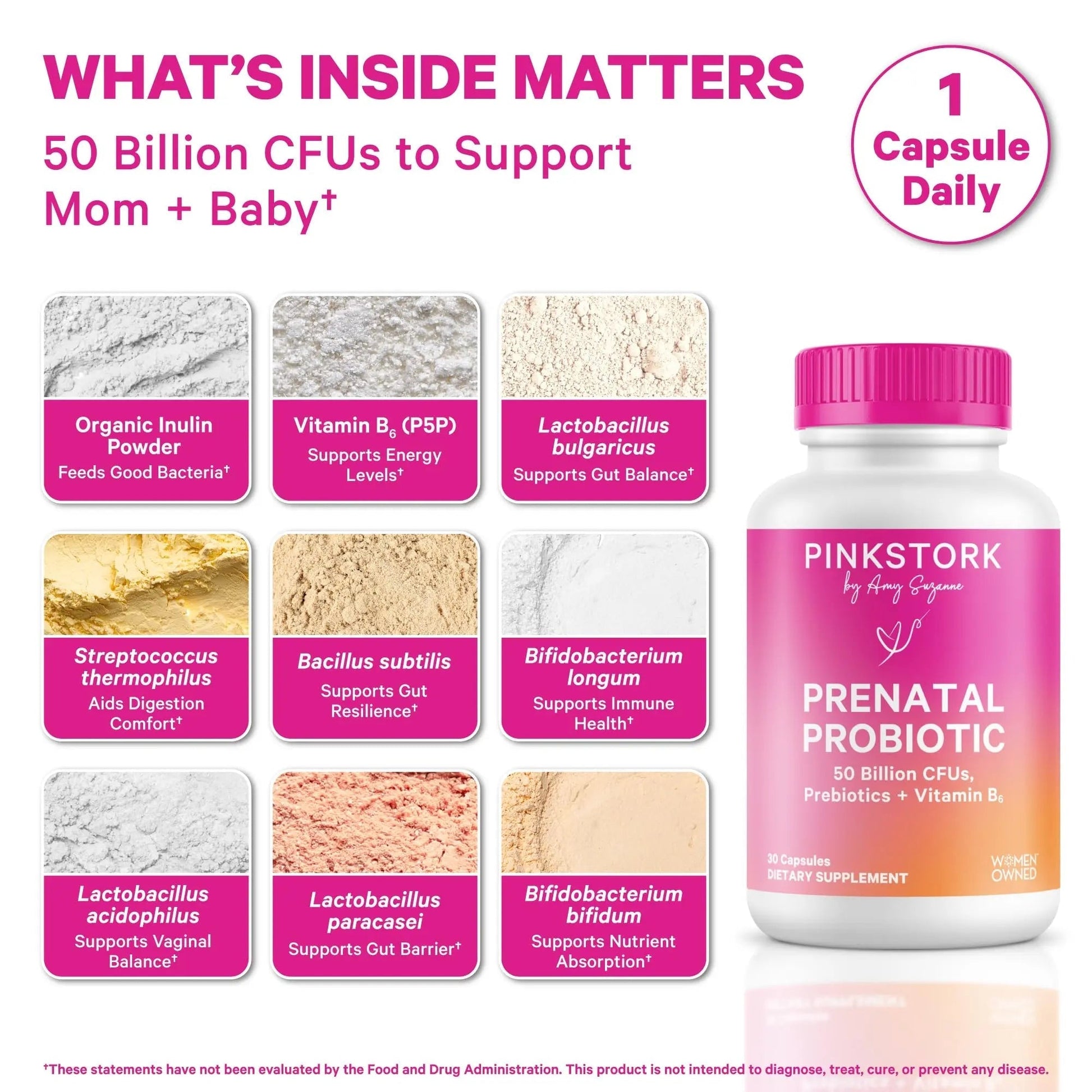 Pink Stork Prenatal Probiotic for Women with 50 Billion CFU | Vitamin B6 & Prebiotics | Pregnancy Probiotics for Morning Sickness | Digestive, Immune, & Gut Health | Vegan & Gluten-Free | 30 Capsules - Maple Wellness Supplements