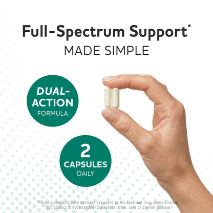 Prebiotics and Probiotics | 50 Billion CFU, 16 Probiotic Strains & Inulin Prebiotic Fiber | Delayed Release Capsules | Gut Health Support | Prebiotics and Probiotics for Women & Men | Non-GMO | 60 Ct - Maple Wellness Supplements