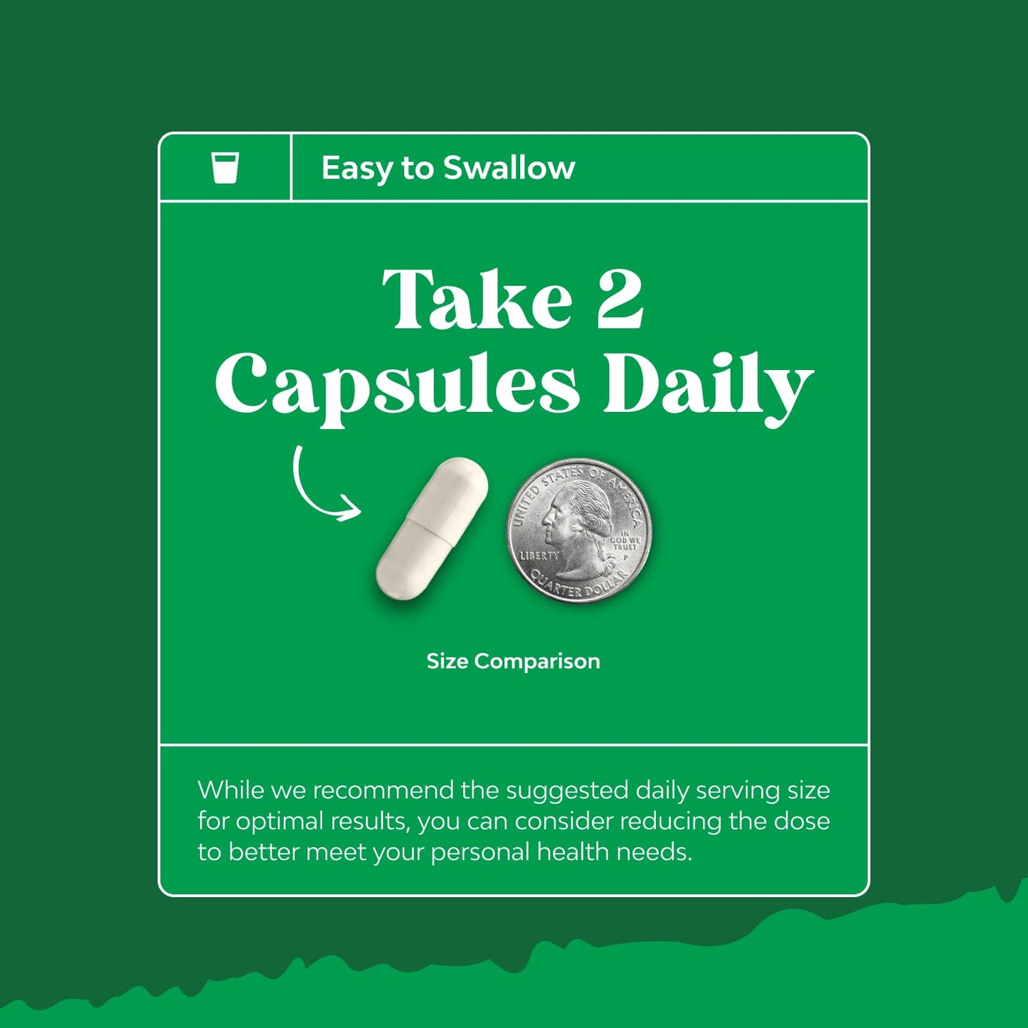 Prebiotics and Probiotics Gut Health Supplement-Super Potent Digestive Health Acidophilus Probiotic Capsules with Men & Womens Probiotics & Prebiotics - Maple Wellness Supplements